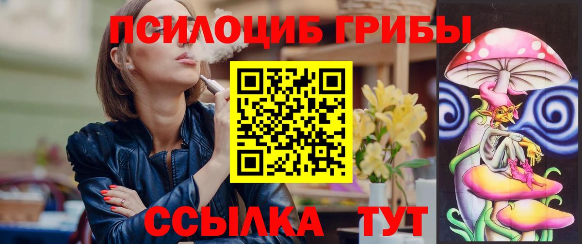 Псилоцибиновые грибы Psilocybe  Псилоцибиновые грибы Magic Shrooms  Черногорск  Вход с VPN 
